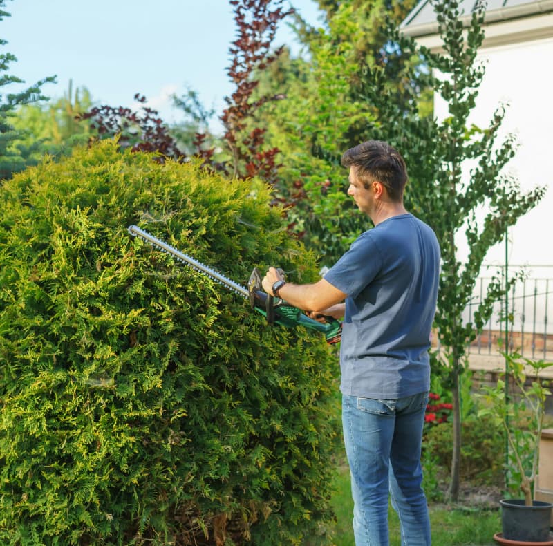 Home and yard maintenance services
